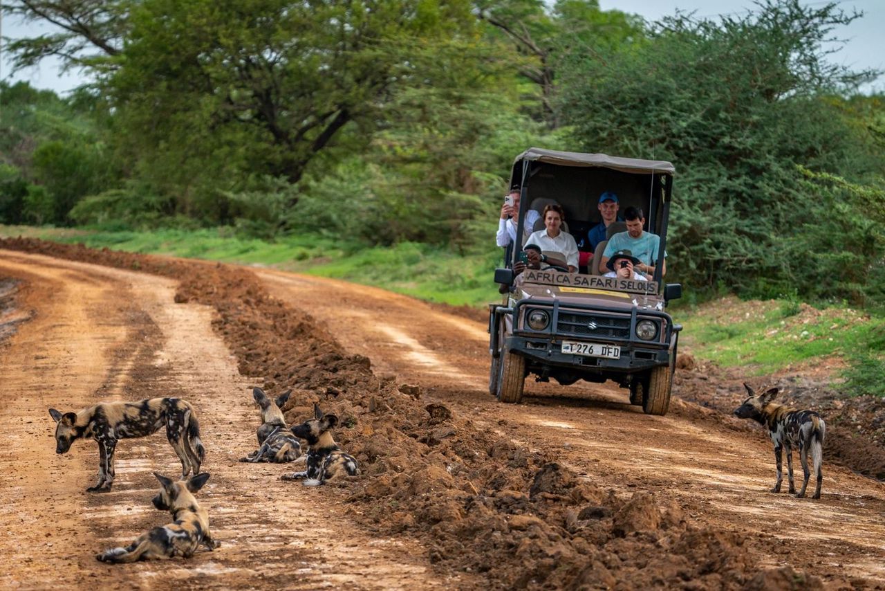 3-days-serengeti-flying-saf