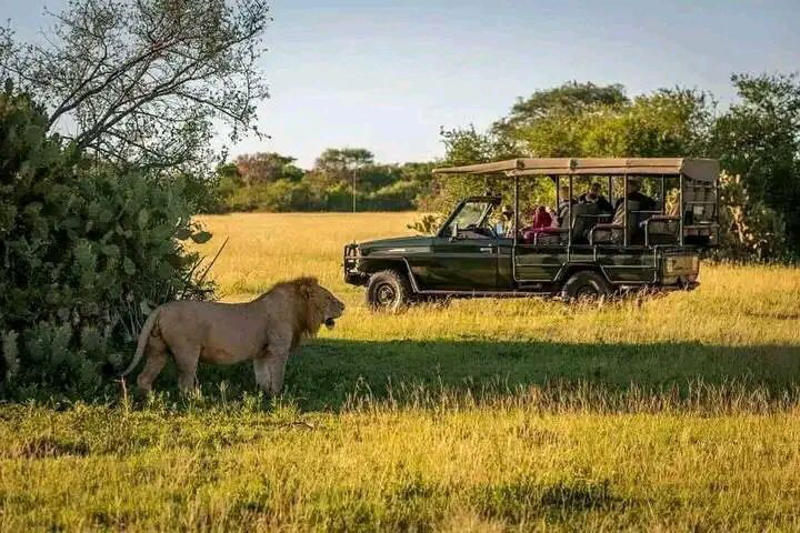 3-days-serengeti-flying-saf